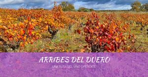 Ruta del Vino de Arribes del Duero