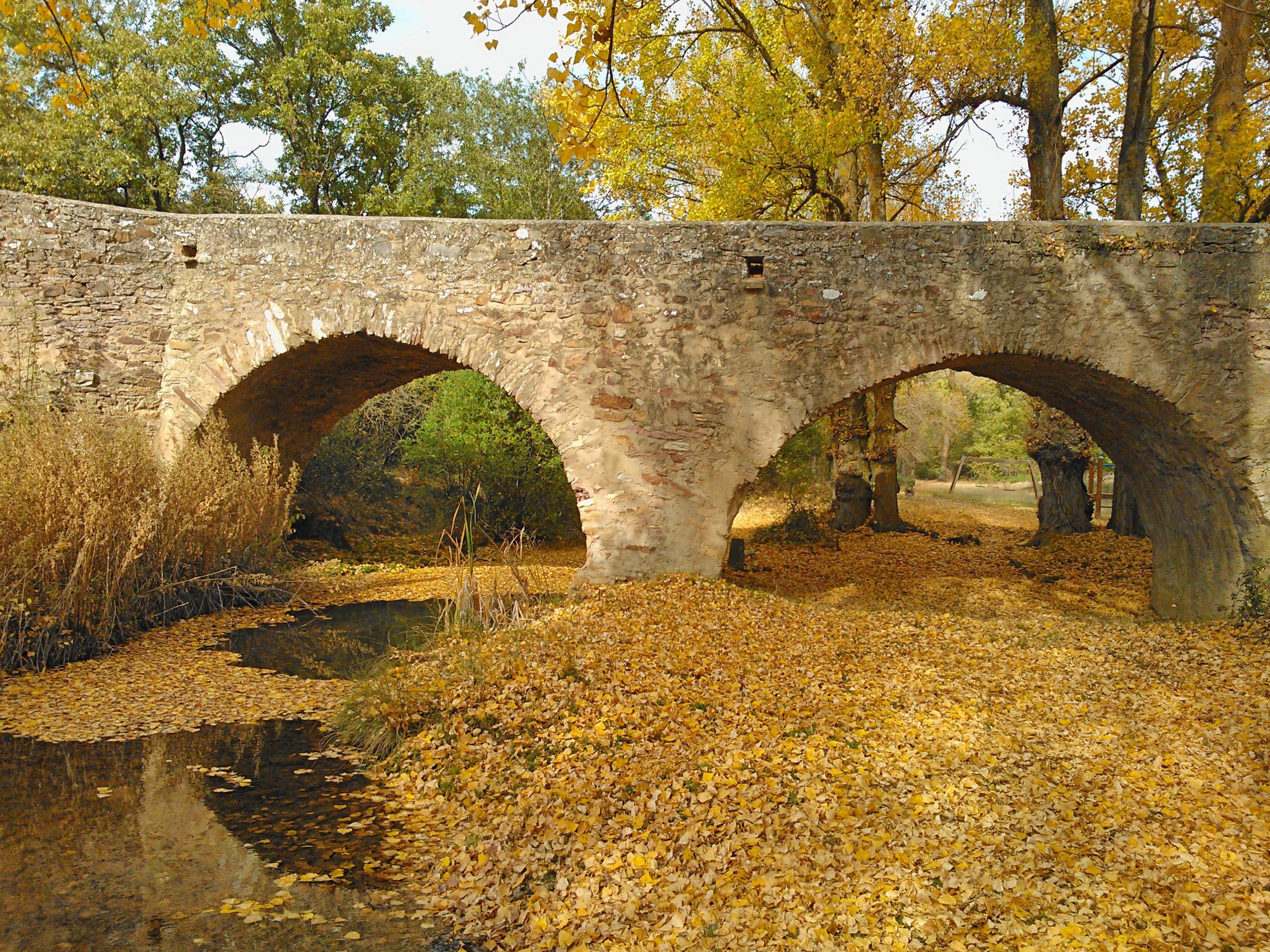 Puente medieval