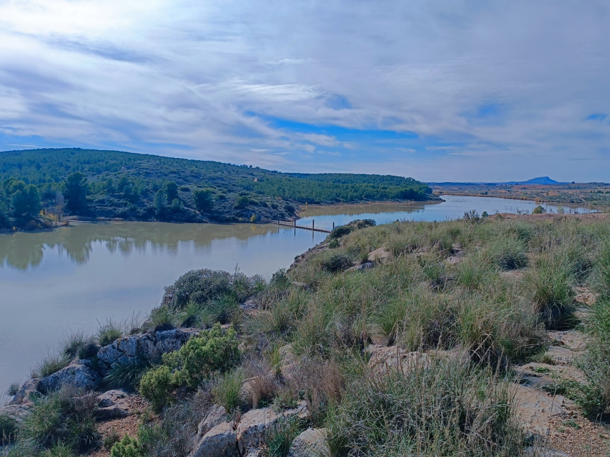 Pantano de Almansa